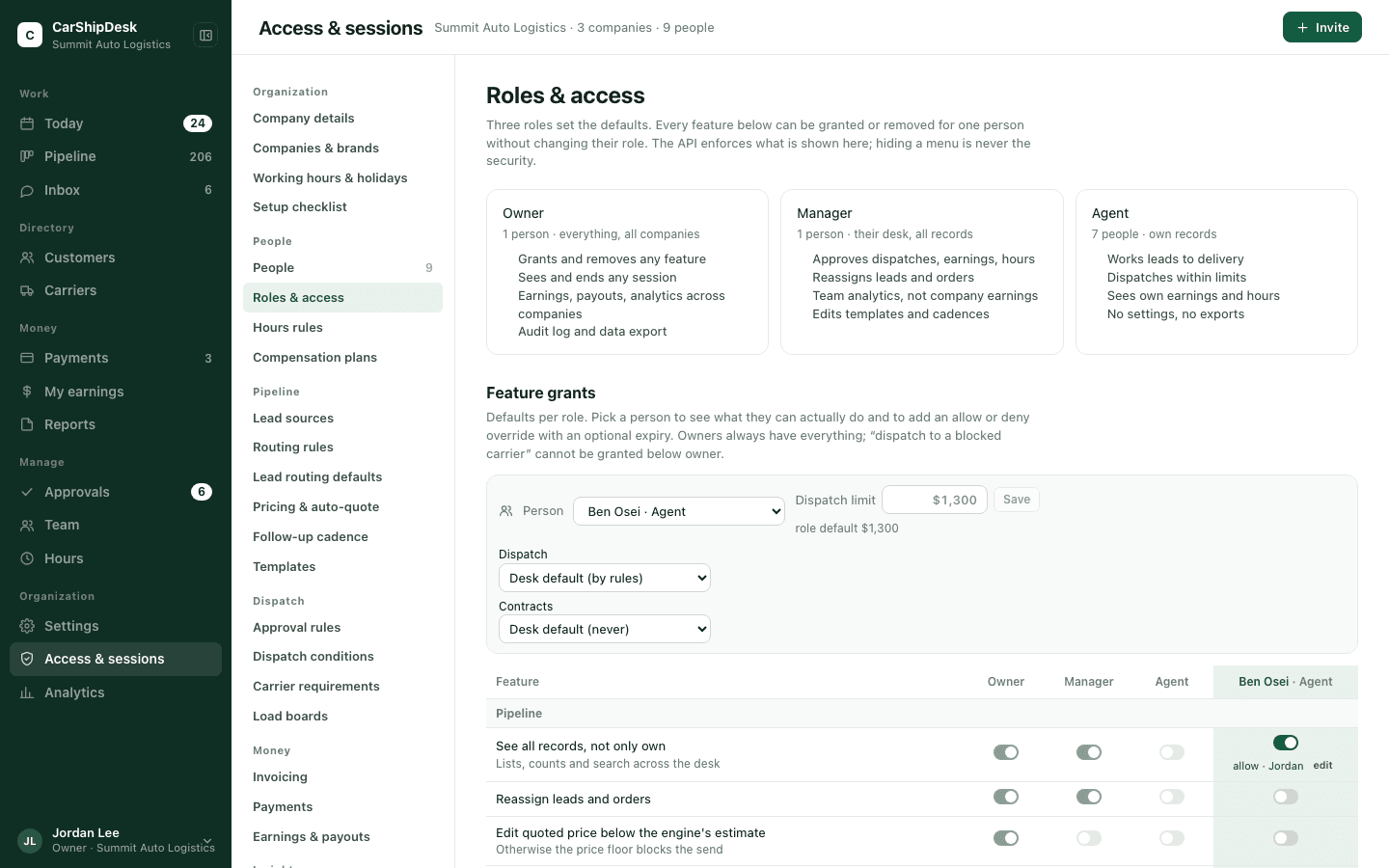 Roles and access settings with three role columns and a feature grants table